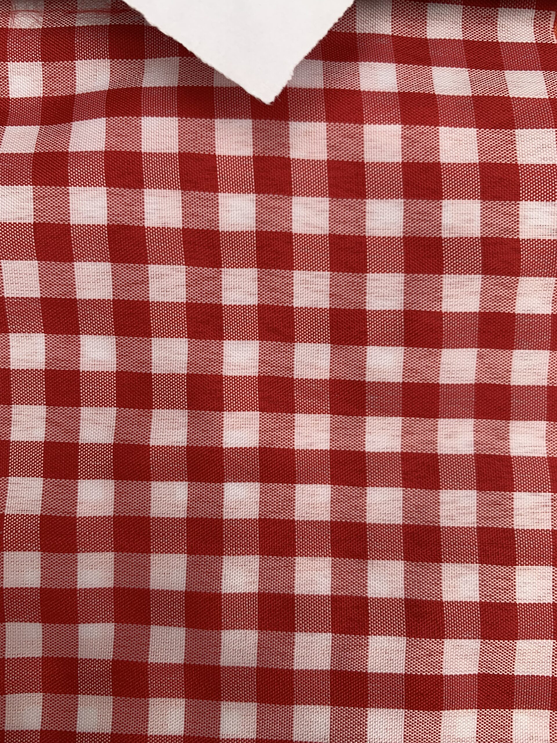 Tela Carolina Cuadros